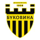 Логотип Bukovyna