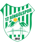 Логотип 12 Bingölspor