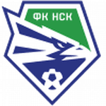 Логотип Novosibirsk