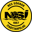 Логотип NSI Runavik