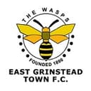 Логотип East Grinstead Town