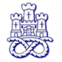 Логотип Newcastle Town
