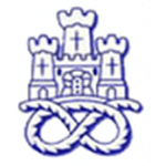 Логотип Newcastle Town