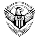 Логотип Nazilli Spor