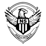 Логотип Nazilli Spor
