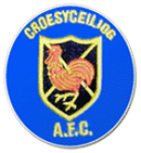 Логотип Croesyceiliog AFC