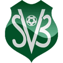 Логотип Suriname