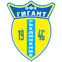 Логотип Gigant Saedinenie