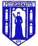 Логотип Amesbury Town