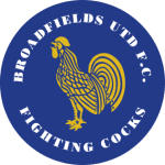 Логотип Brockenhurst