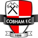 Логотип Cobham