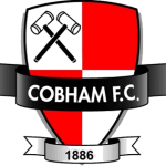 Логотип Cobham