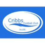 Логотип Cribbs