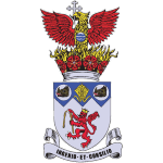 Логотип Irlam