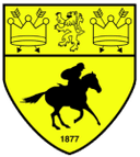 Логотип Newmarket Town
