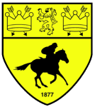 Логотип Newmarket Town