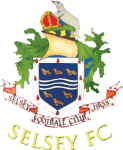 Логотип Selsey