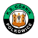 Логотип Górnik Polkowice