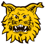 Логотип Ilves II