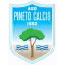 Логотип Pineto