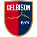 Логотип Gelbison