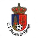 Логотип Pozuelo Alarcón