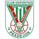 Логотип Pradejón