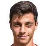 Е. Лоиодике