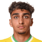 Г. Манвелиан