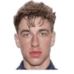 Т. Магнуссон