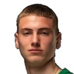 А. Ломницкии