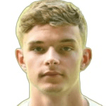 П. Бриттиджн