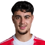 А. Павлович