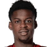 Н. Асеко Нкили