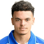 Т. ван Гилст