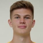 И. Кинареикин