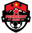 Логотип Persekat