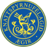 Логотип Ægir