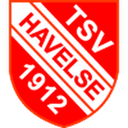 Логотип Havelse
