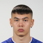 В. Веидерсджое
