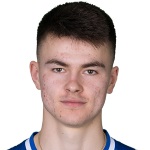 В. Плесьниеровикз