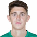 Александр Дегтев